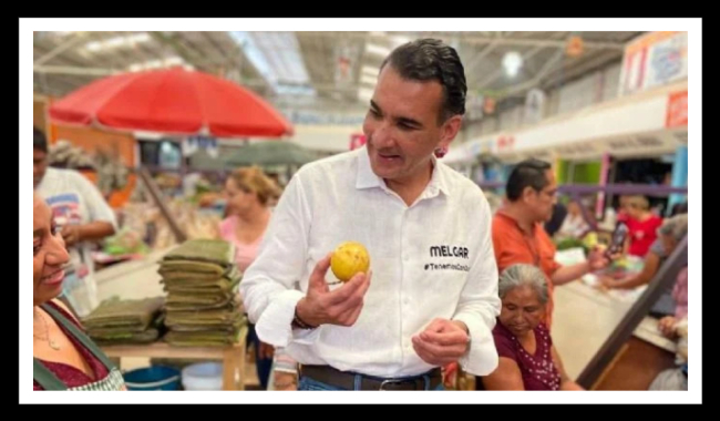 Senador del PVEM respalda ruptura con Morena en 2027: “nunca debemos olvidar que han habido ratas”