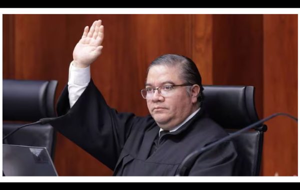 La Suprema Corte falló y no hay vuelta atrás: desde ahora quedan invalidados los permisos para mover y exportar ganado