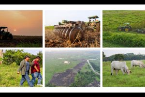 El Gobierno de Minatitlán fortalece al sector agrícola de la zona rural