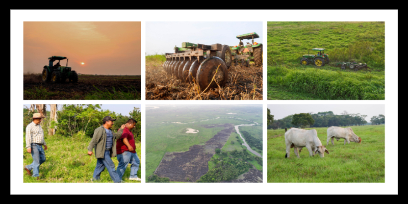 El Gobierno de Minatitlán fortalece al sector agrícola de la zona rural