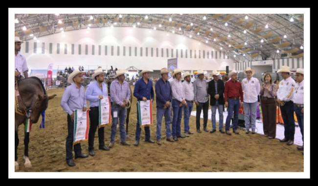 Congreso del Caballo proyecta la riqueza productiva de Veracruz: Rocío Nahle