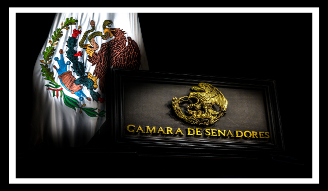 Emite el Senado la declaratoria de aprobación de la reforma constitucional en materia de feminicidio