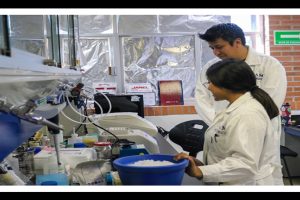 Realizan rastreo celular para entender y diagnosticar enfermedades autoinmunes raras