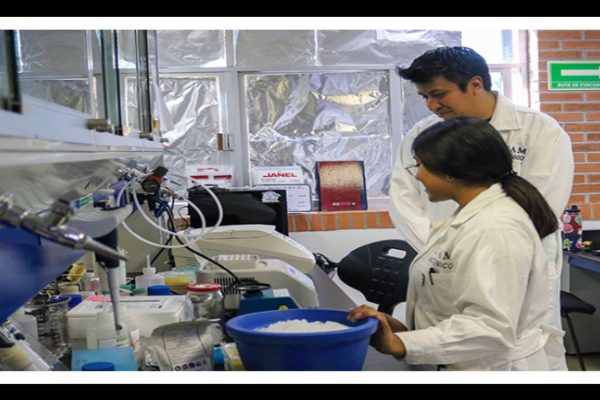 Realizan rastreo celular para entender y diagnosticar enfermedades autoinmunes raras