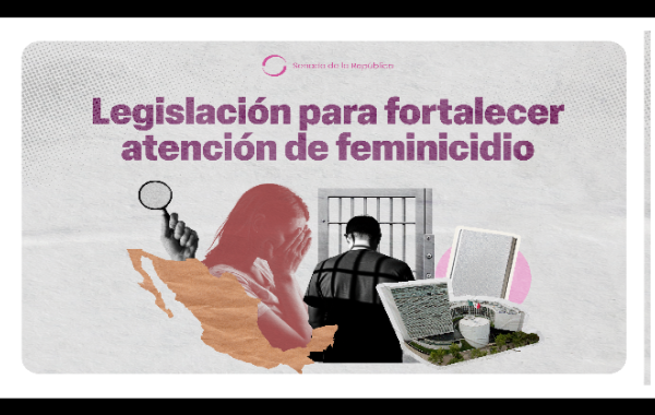 El Pleno del Senado de la República aprueba reforma constitucional para combatir el feminicidio