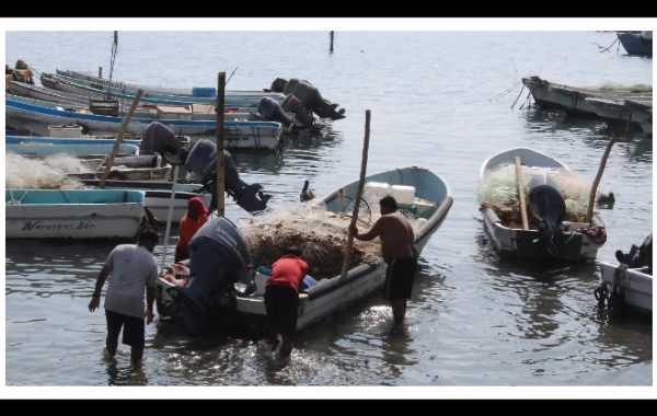 Pescadores afectados por contaminación de hidrocarburo recibirán apoyo extra de 15 mil pesos