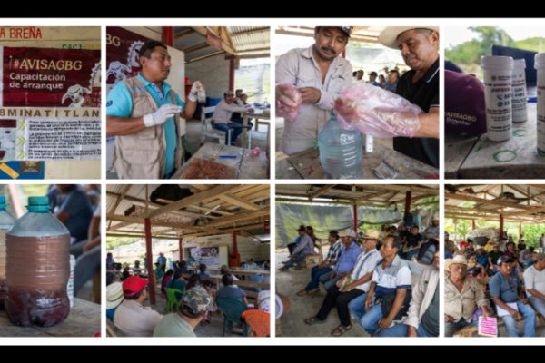 Minatitlán fortalece al sector ganadero con acciones preventivas