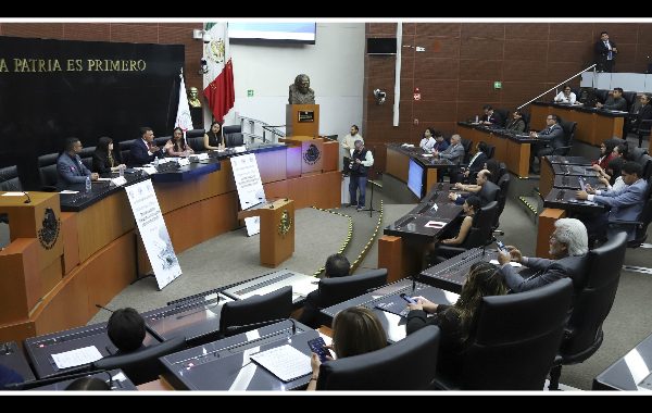 Comisión del Senado presentará marco normativo que fomente y regule la Inteligencia Artificial