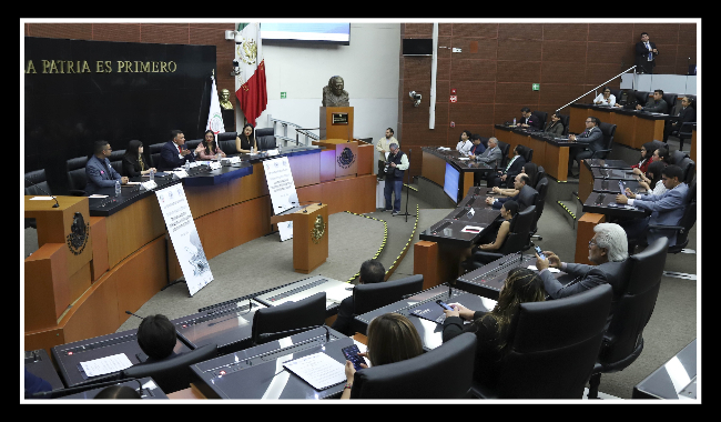 Comisión del Senado presentará marco normativo que fomente y regule la Inteligencia Artificial