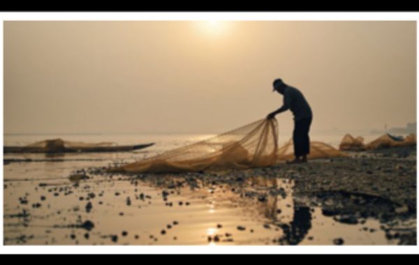 Nuevo censo de pescadores afectados por el derrame