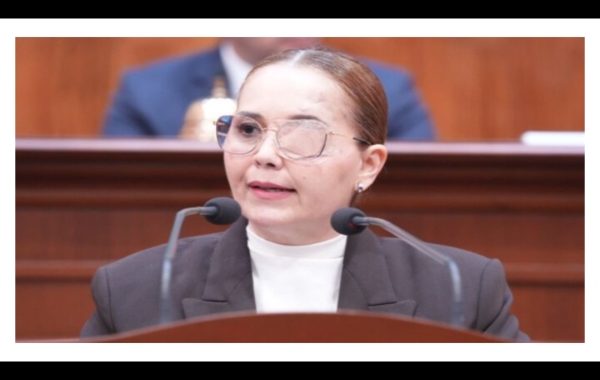 Diputados de Movimiento Ciudadano se ausentaron del Congreso por cuestioness médicas: Montoya