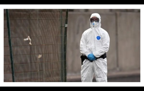 México Emite Aviso Epidemiológico por Hantavirus: ¿En Qué Consiste?