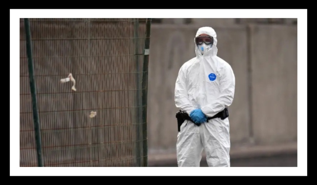 México Emite Aviso Epidemiológico por Hantavirus: ¿En Qué Consiste?