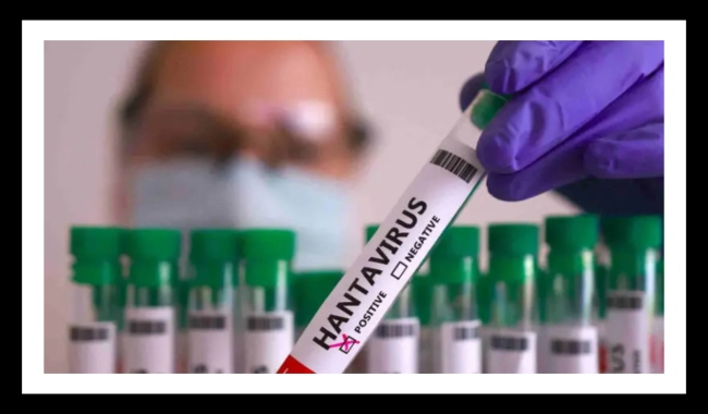 Moderna Anuncia Desarrollo de Vacuna contra el Hantavirus, ¿Cuándo se Aprueba?