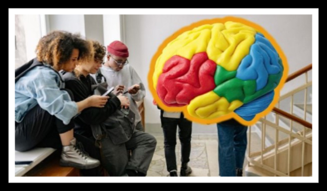 La adolescencia cerebral se extiende hasta los 32 años, según estudio de Cambridge